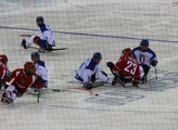 The Paralympic GamesSohi-2014